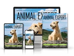 Animal Expert
