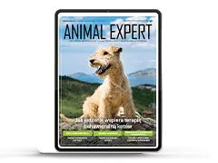 Animal Expert