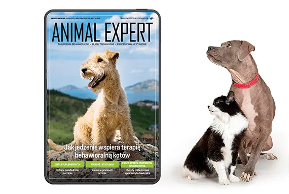 Animal Expert to magazyn o zwierzętach
