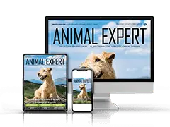 Animal Expert